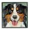 Stupell Industries Bernese Mountain Dog Ephemera Collage Framed Giclee Art